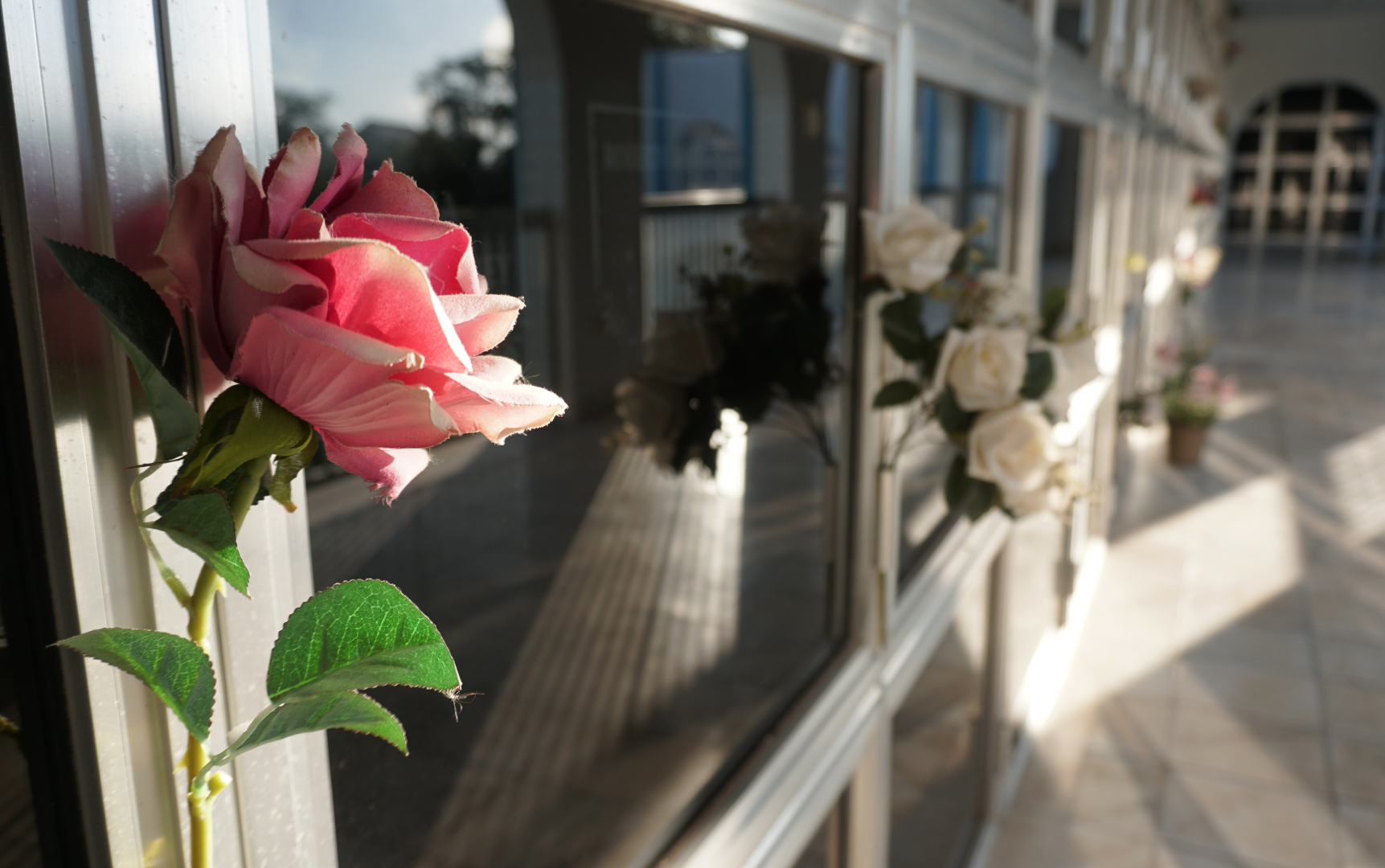 Rosas nos porta-flores das portinholas dos lóculos ao entardecer