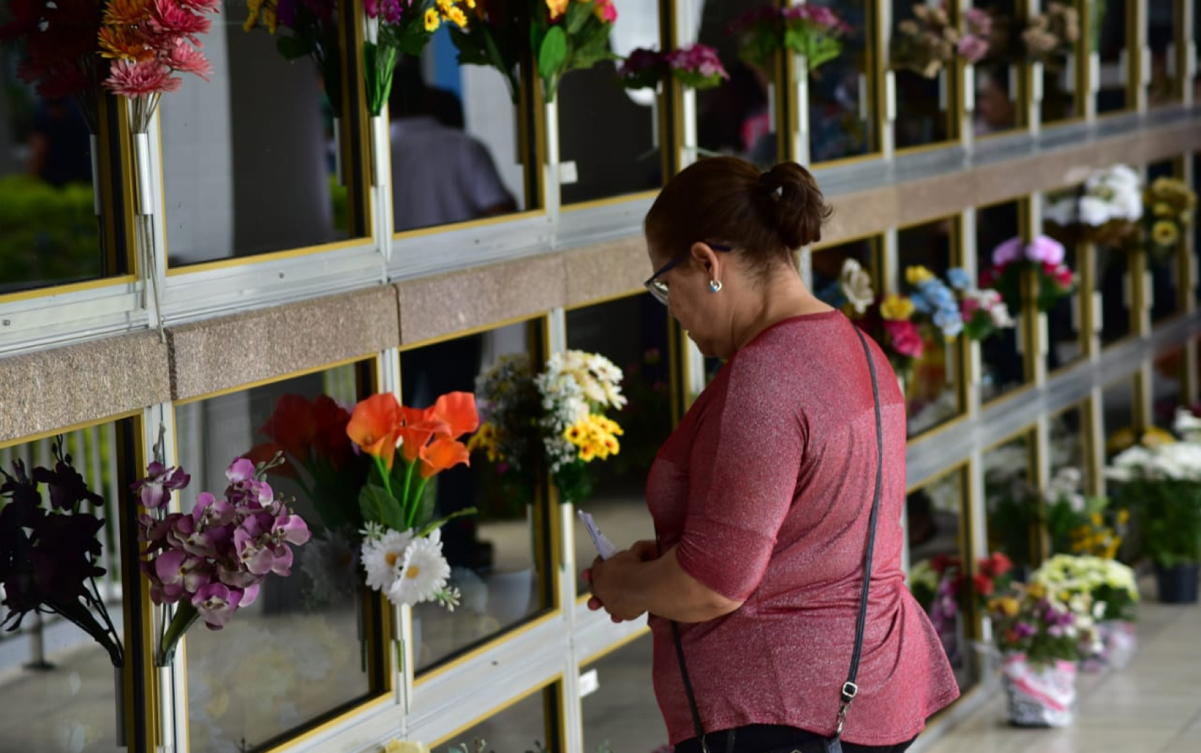 Visitante trocando as flores em um dos lóculos